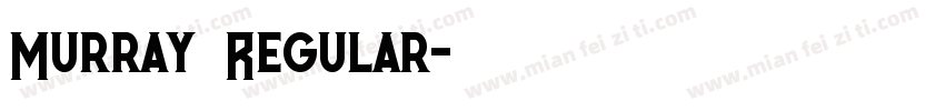 Murray Regular字体转换